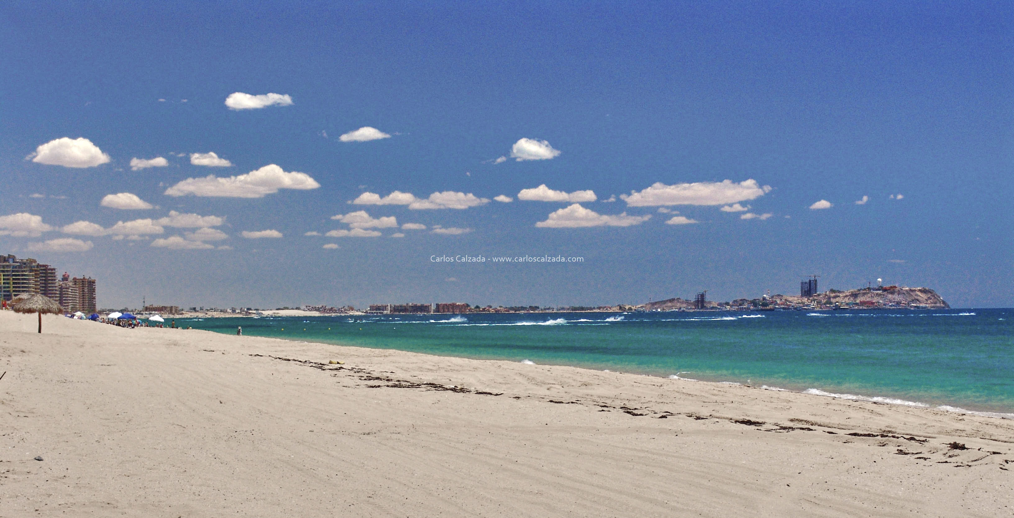 Arenosa_2008 (8).jpg